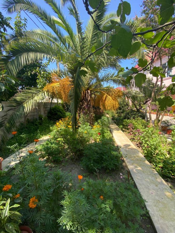 Villa Jakos Paradise バトゥーミ エクステリア 写真
