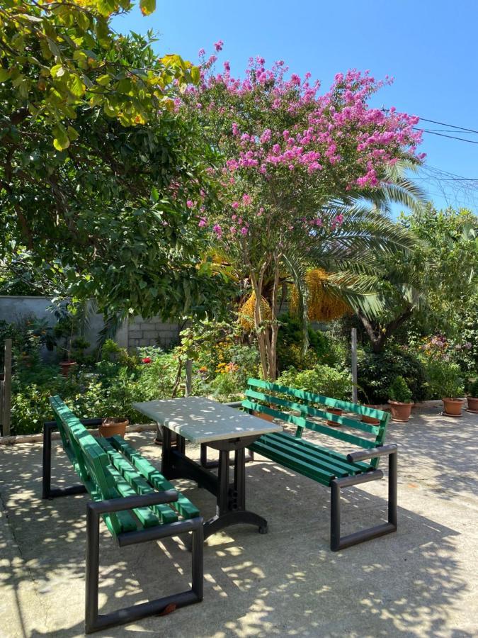 Villa Jakos Paradise バトゥーミ エクステリア 写真
