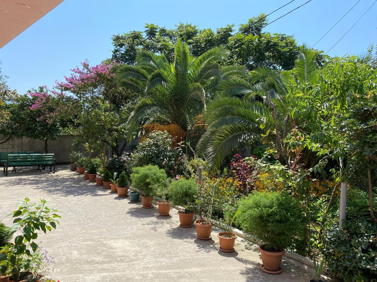 Villa Jakos Paradise バトゥーミ エクステリア 写真