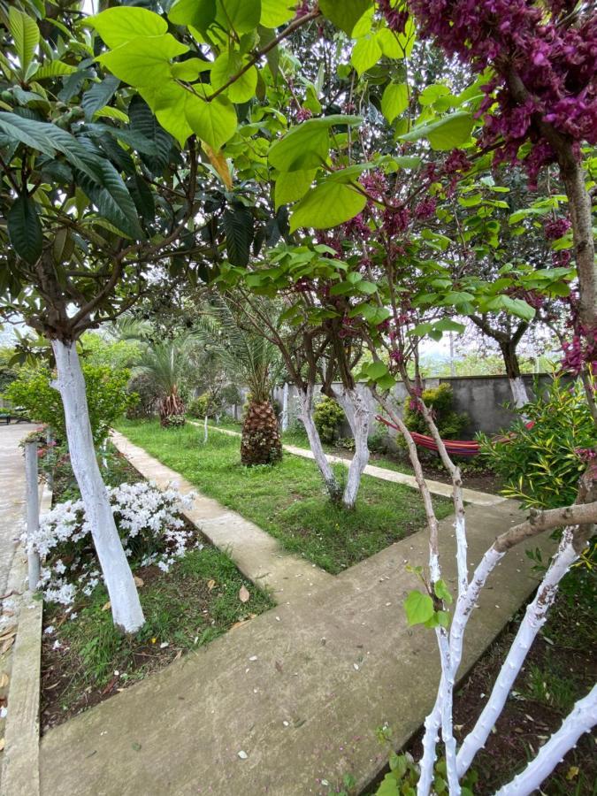 Villa Jakos Paradise バトゥーミ エクステリア 写真
