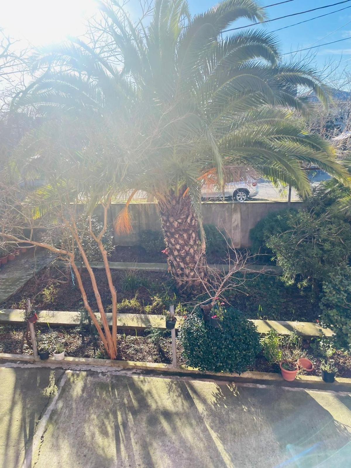 Villa Jakos Paradise バトゥーミ エクステリア 写真